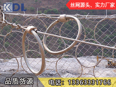 環(huán)形網(wǎng)