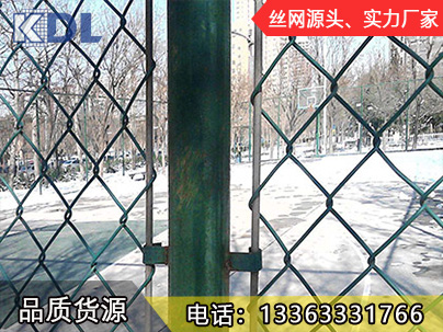 體育場(chǎng)護(hù)欄網(wǎng)
